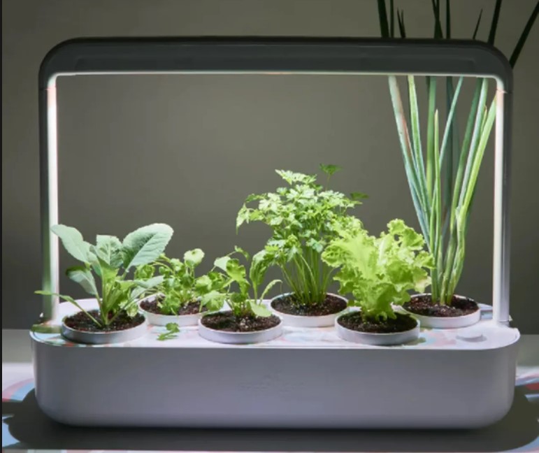 Horta sendo cultivada com luz artificial